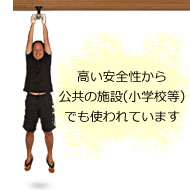 高い安全性