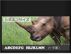 シネスコスクリーン